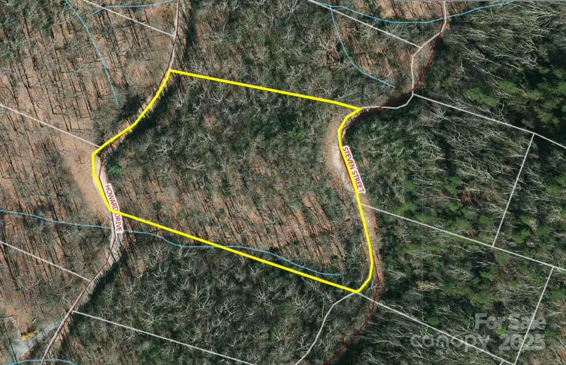 0 Howard Drive Lake Lure NC 28746