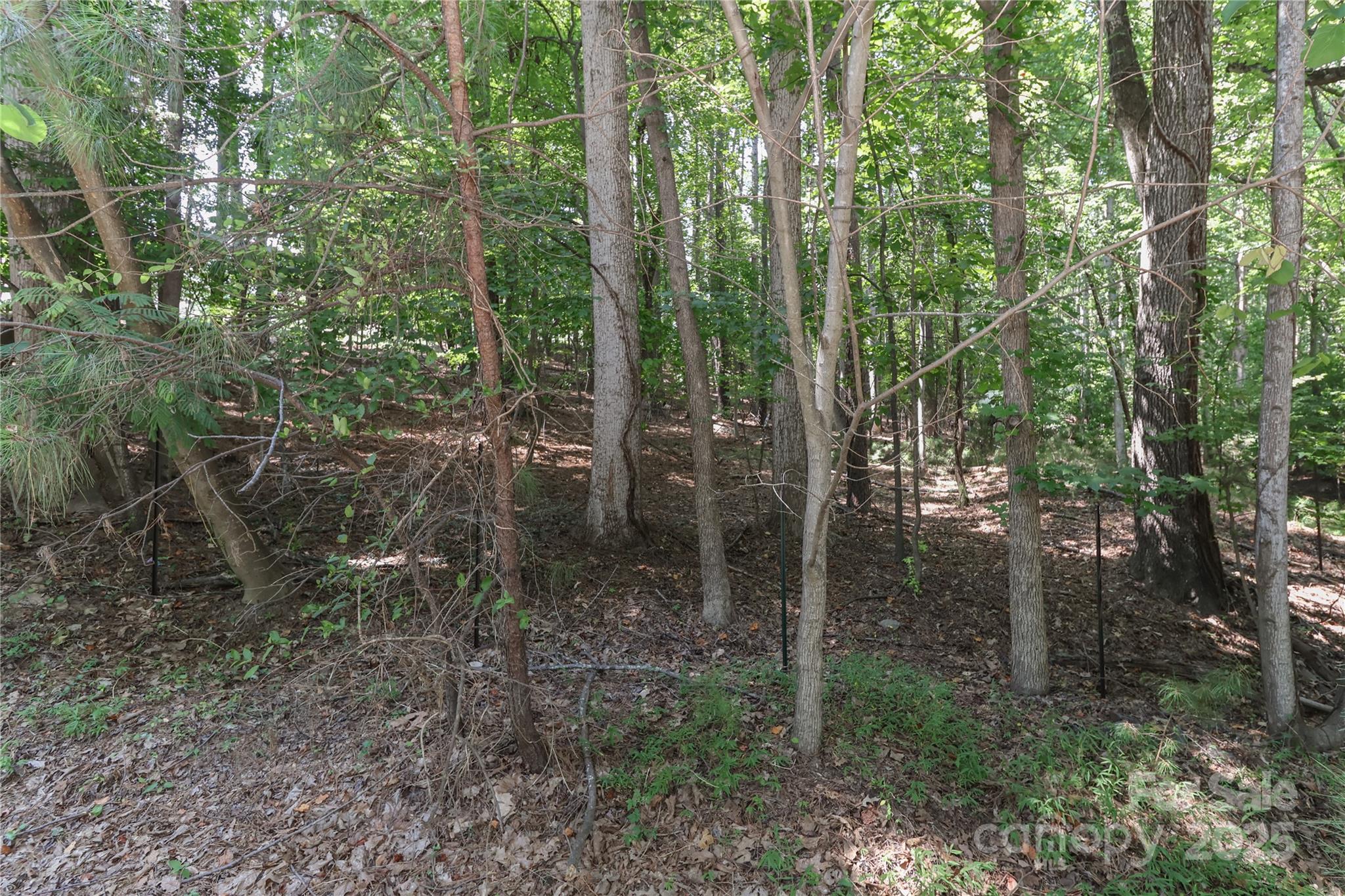 372 Kenway Loop Mooresville NC 28117