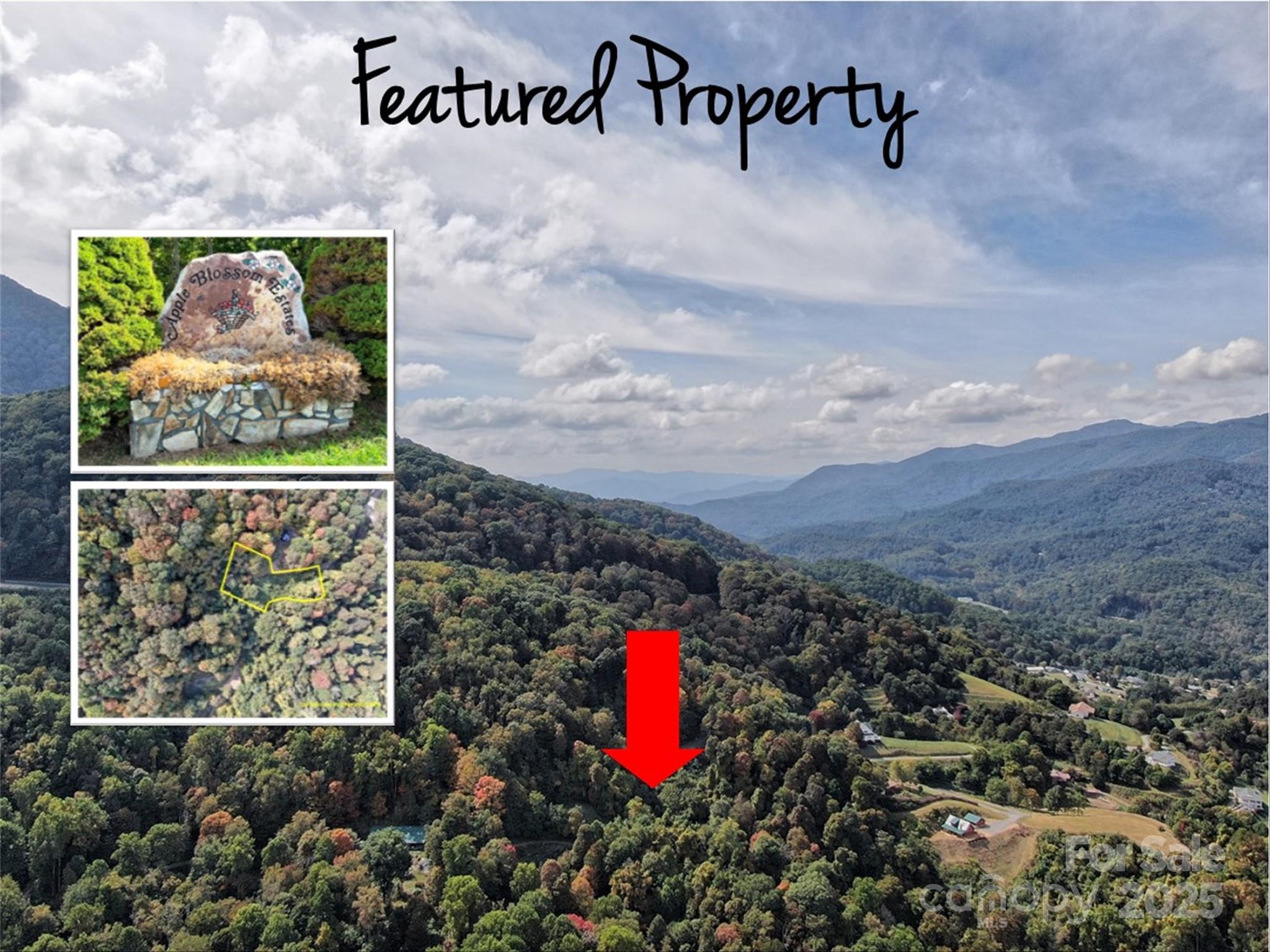 00 Ellenberger Drive Waynesville NC 28786