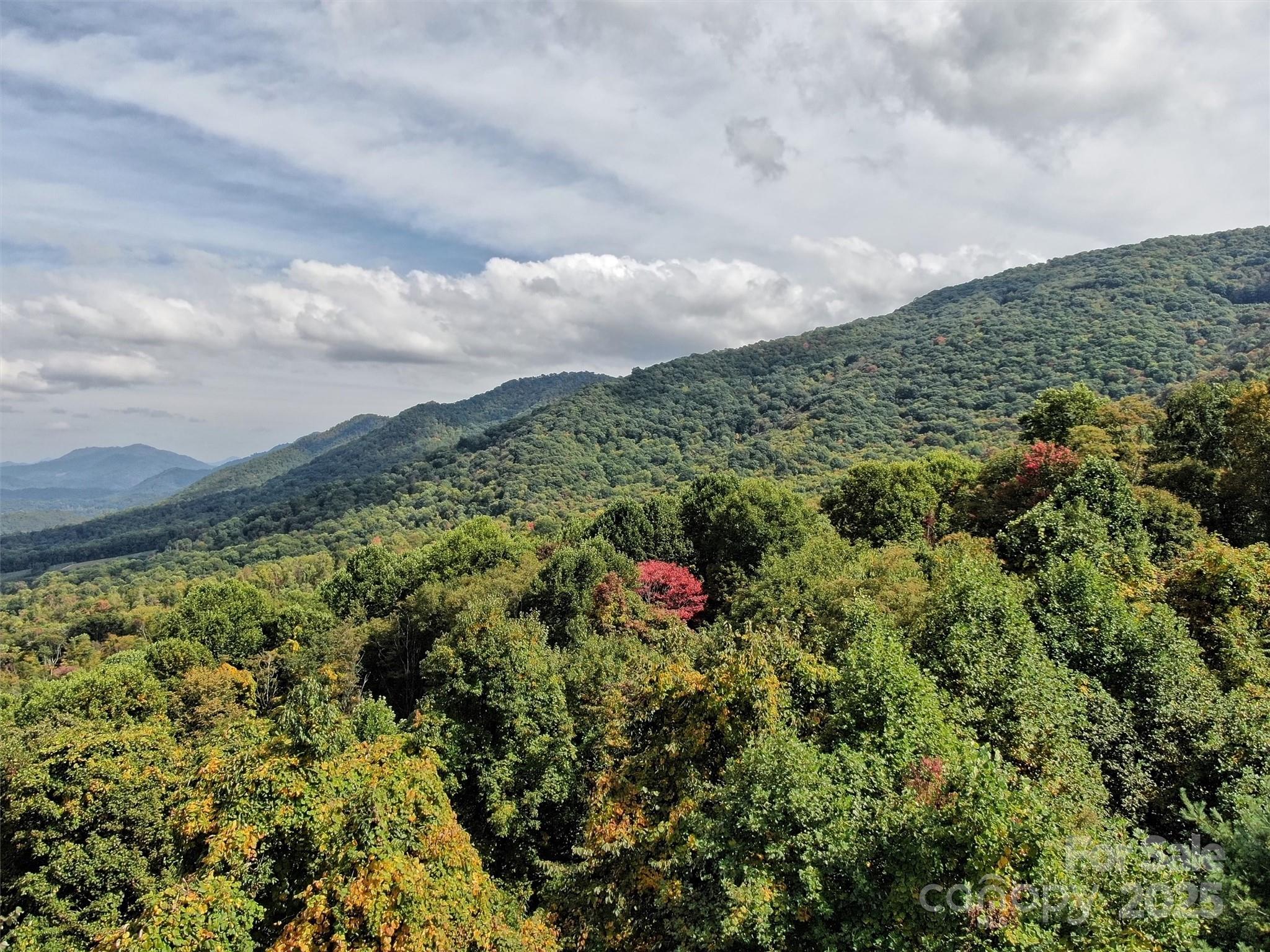 00 Ellenberger Drive Waynesville NC 28786