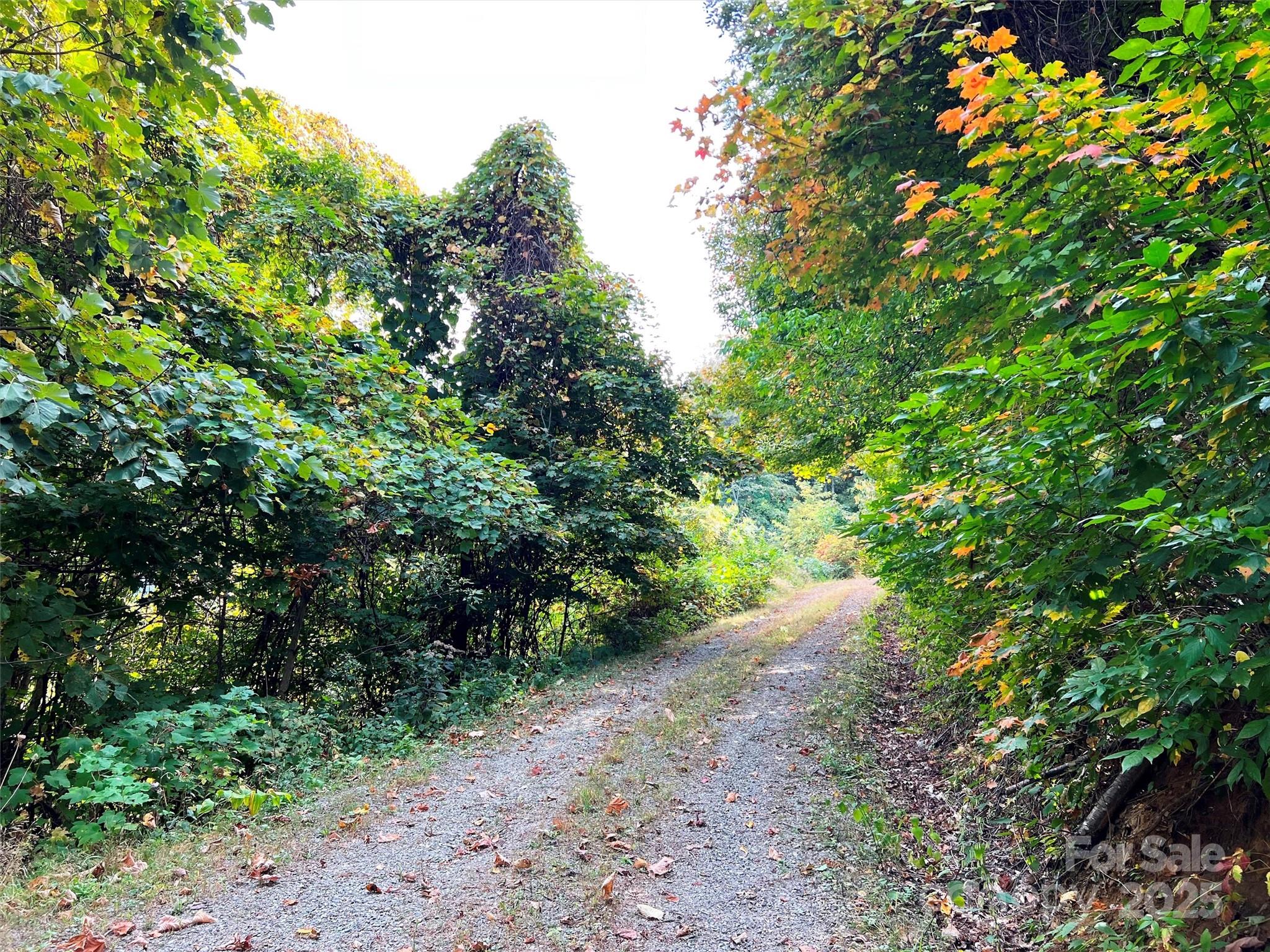 00 Ellenberger Drive Waynesville NC 28786