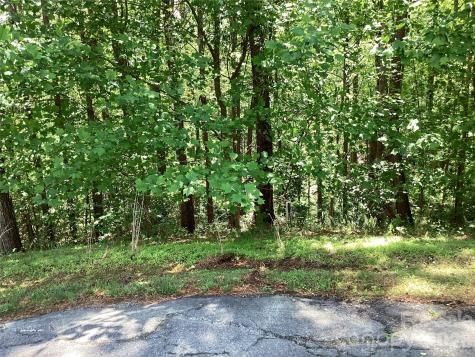 101 Pier Point Drive Connelly Springs NC 28612