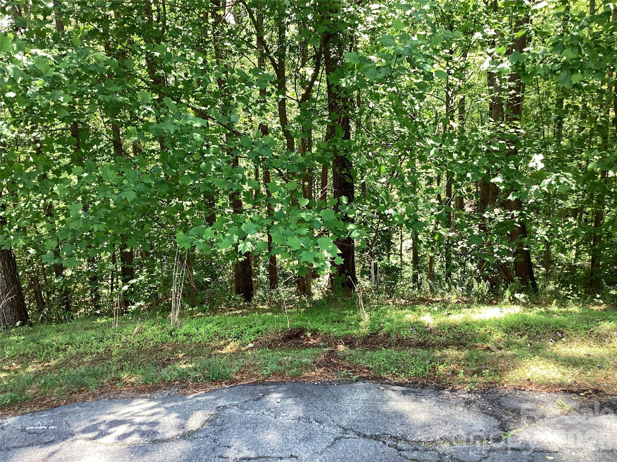 101 Pier Point Drive Connelly Springs NC 28612
