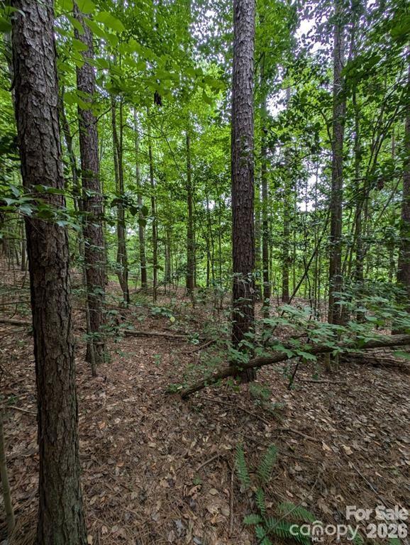 00 Tallwood Drive Denver NC 28037