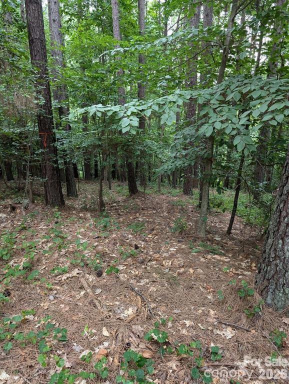00 Tallwood Drive Denver NC 28037