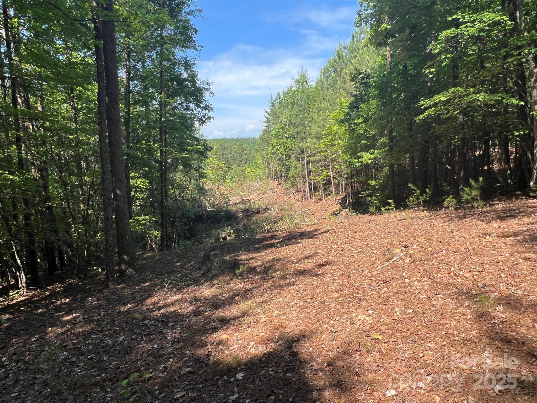 0 South Mountain Drive Nebo NC 28761