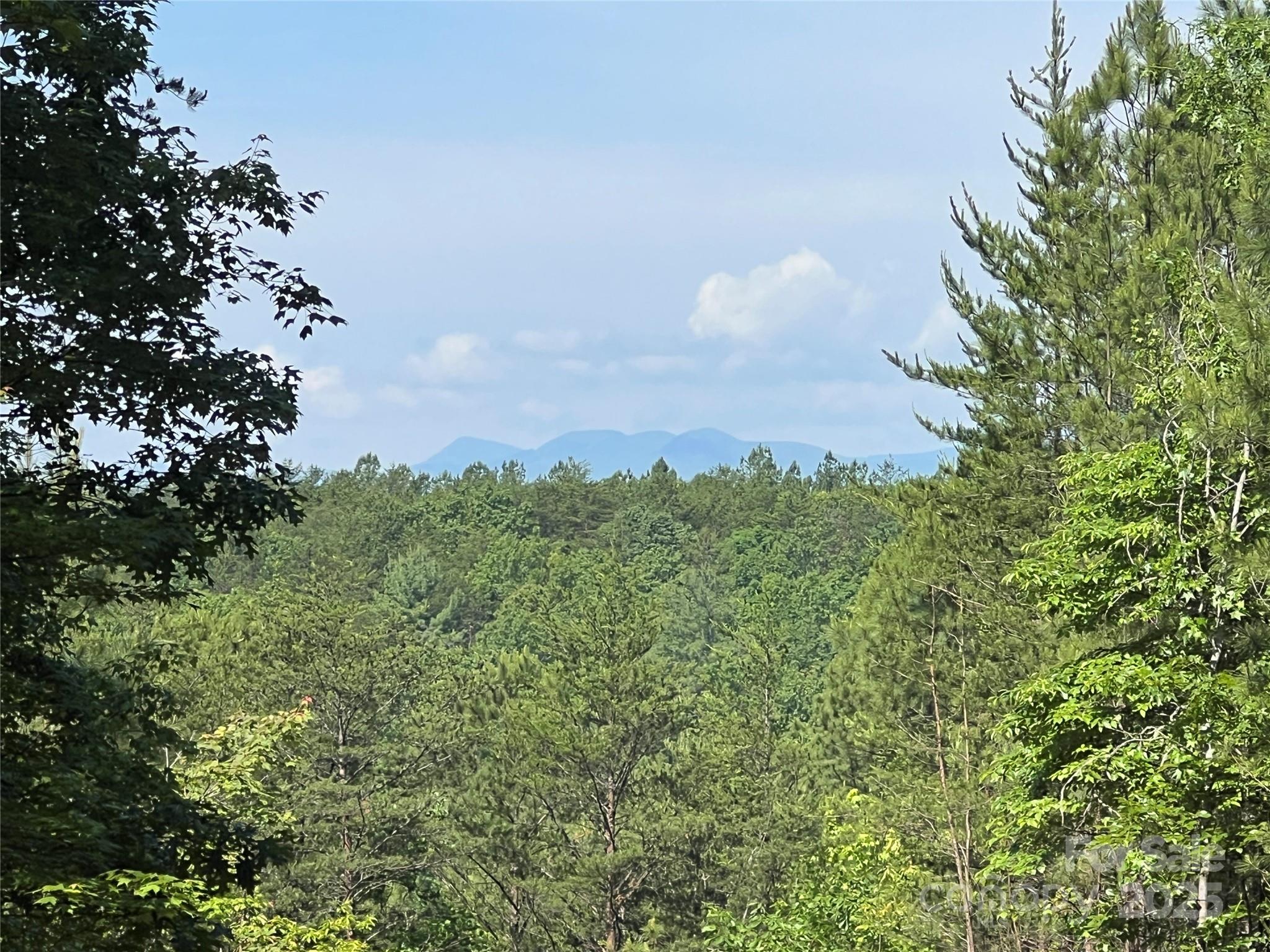 0 South Mountain Drive Nebo NC 28761