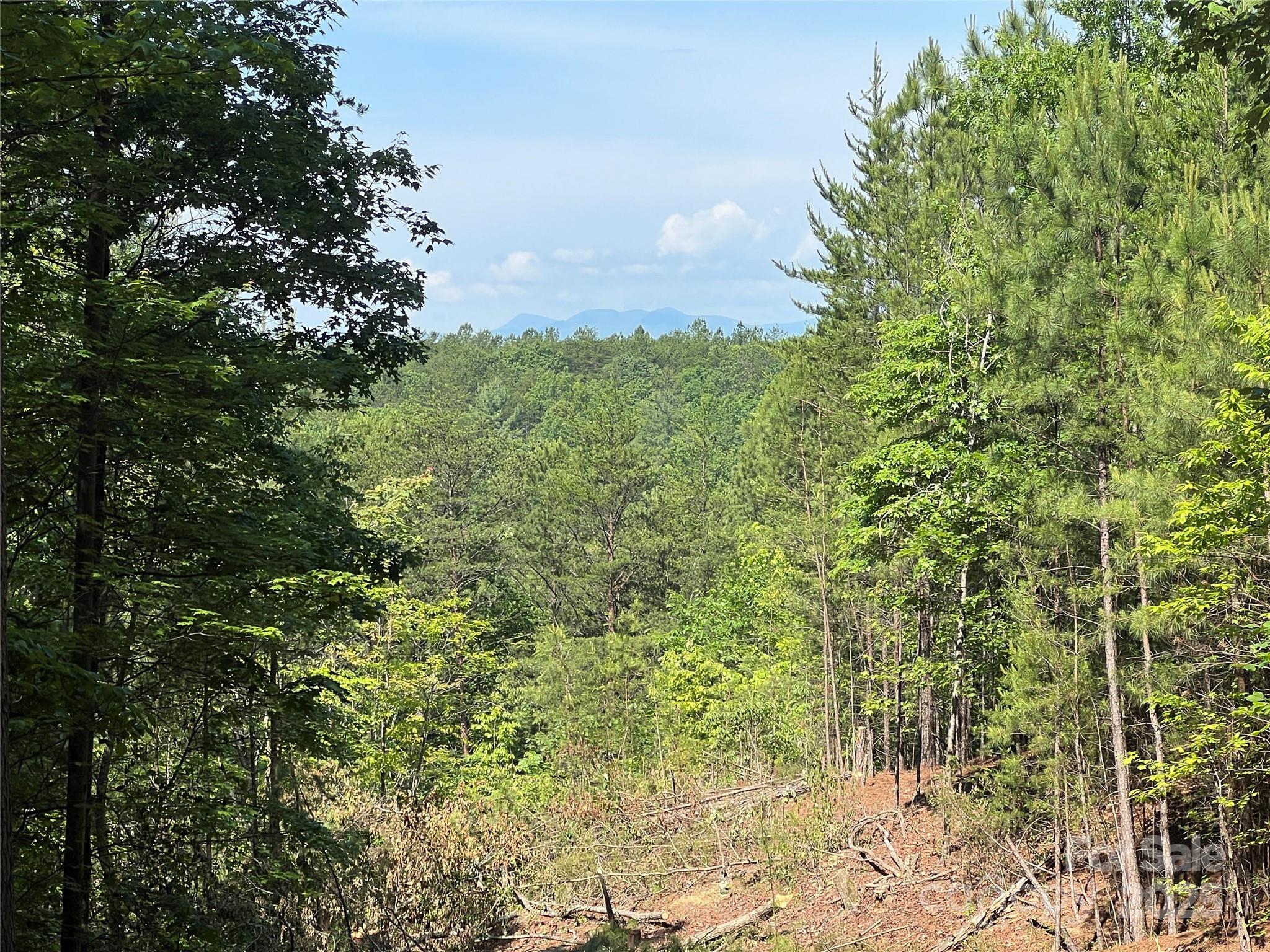 0 South Mountain Drive Nebo NC 28761