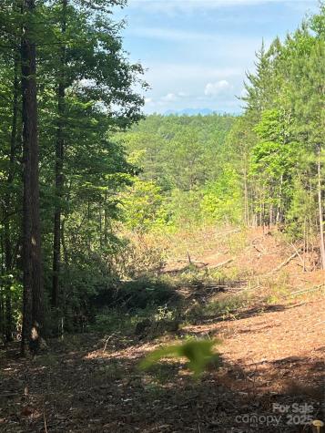 0 South Mountain Drive Nebo NC 28761
