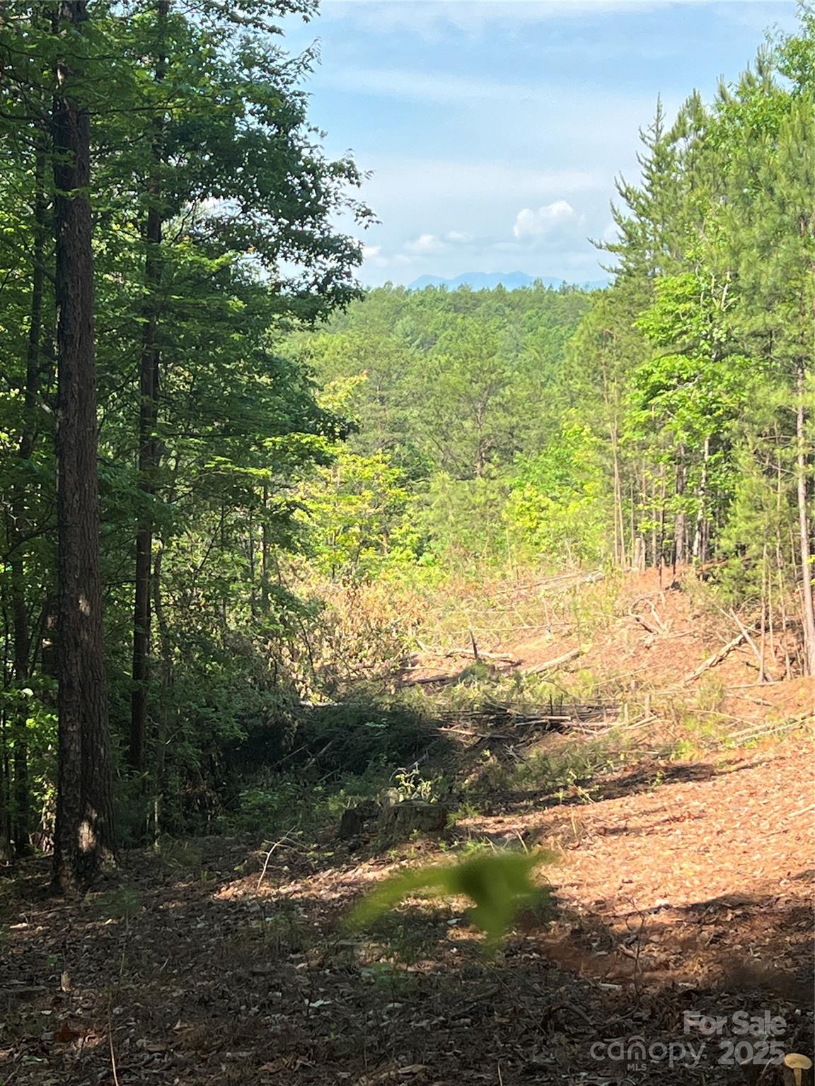 0 South Mountain Drive Nebo NC 28761