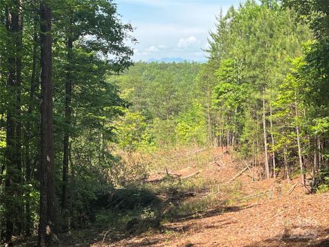 0 South Mountain Drive Nebo NC 28761