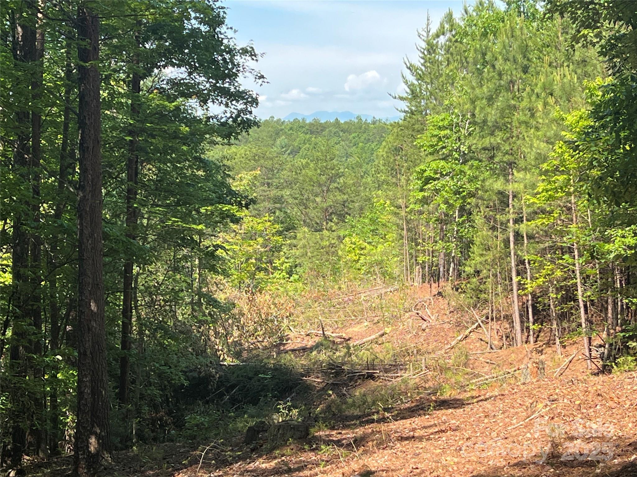 0 South Mountain Drive Nebo NC 28761