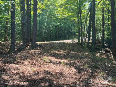 0 South Mountain Drive Nebo NC 28761