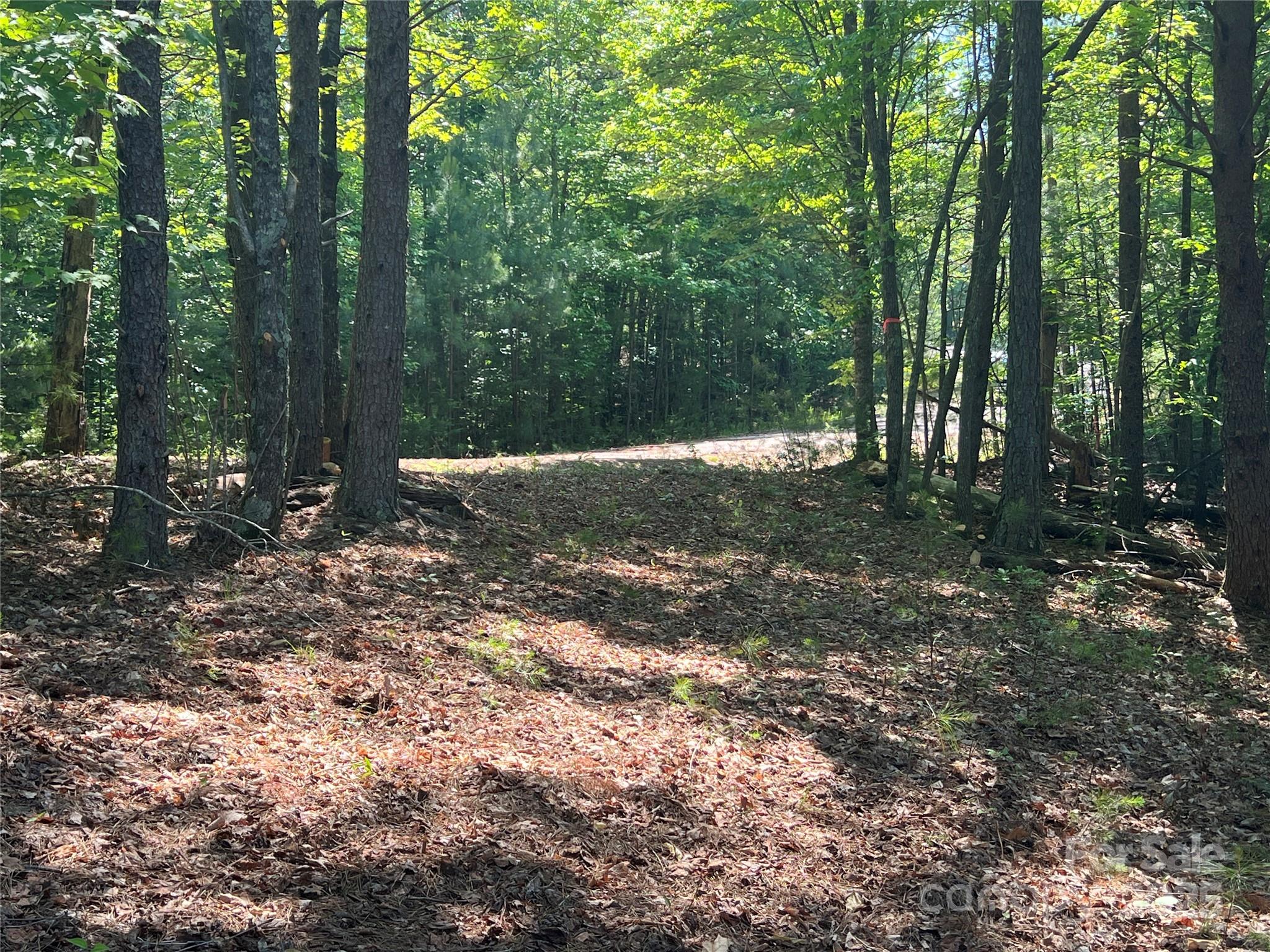 0 South Mountain Drive Nebo NC 28761