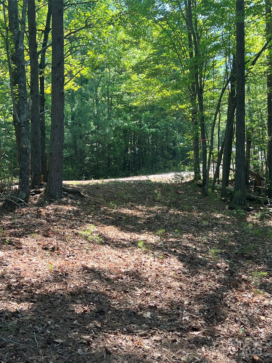 0 South Mountain Drive Nebo NC 28761