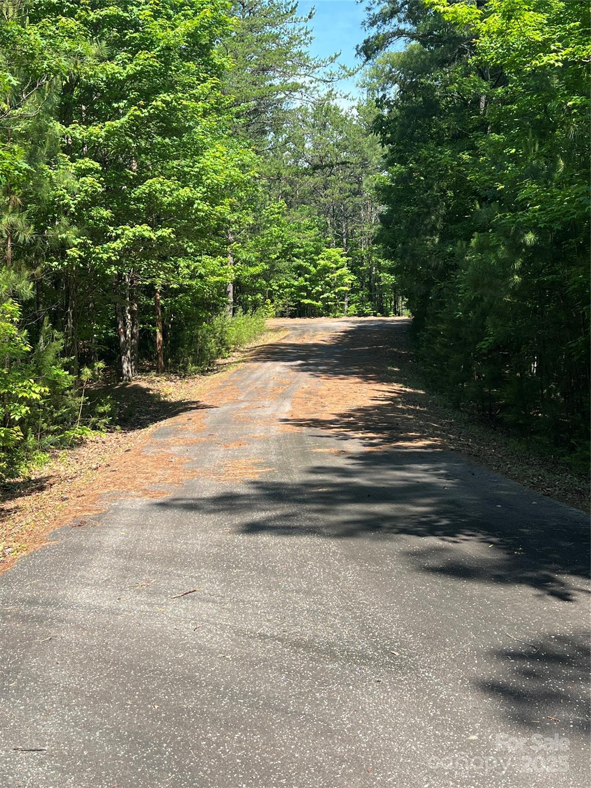 0 South Mountain Drive Nebo NC 28761
