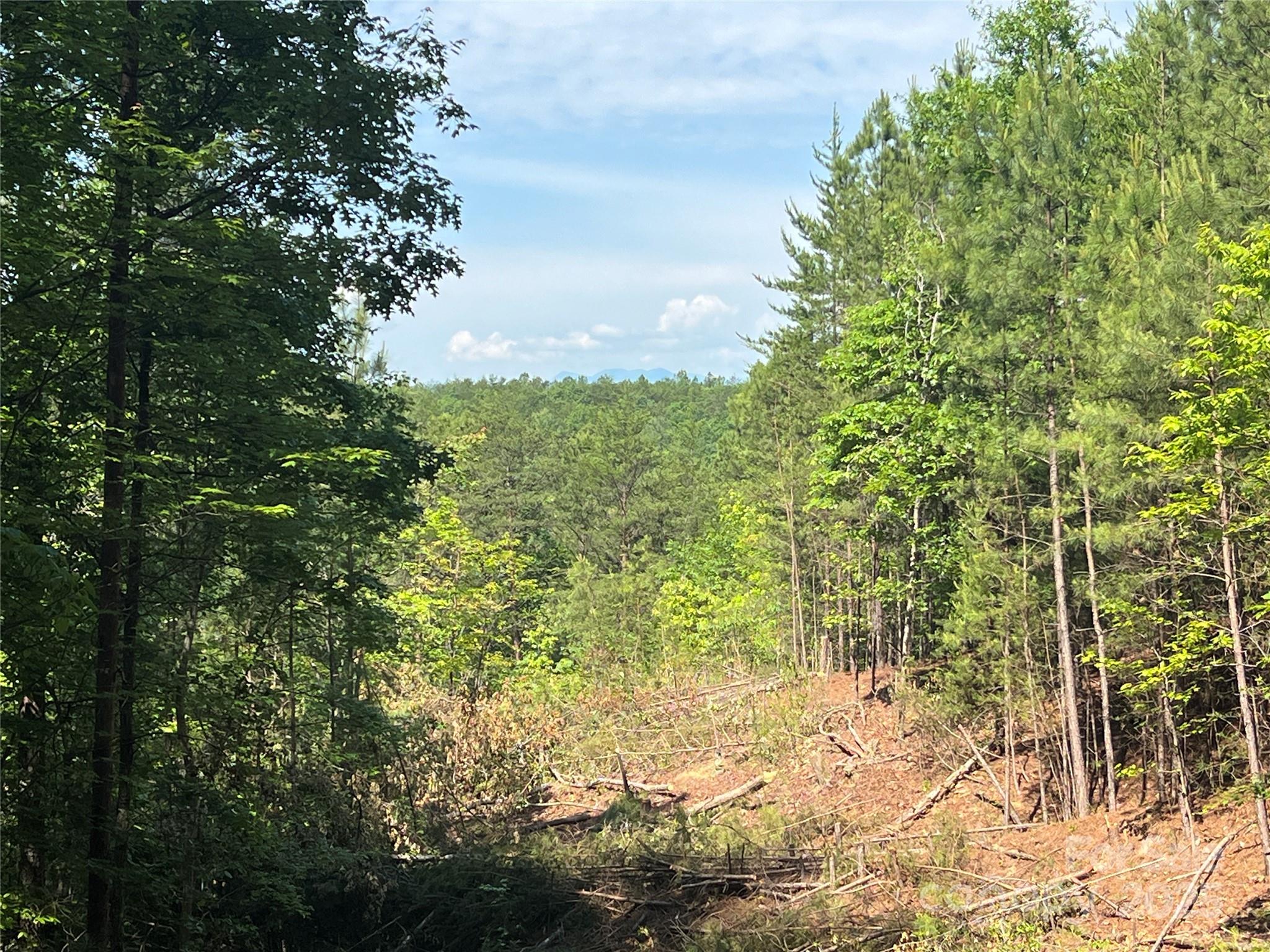 0 South Mountain Drive Nebo NC 28761