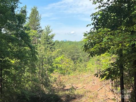 0 South Mountain Drive Nebo NC 28761