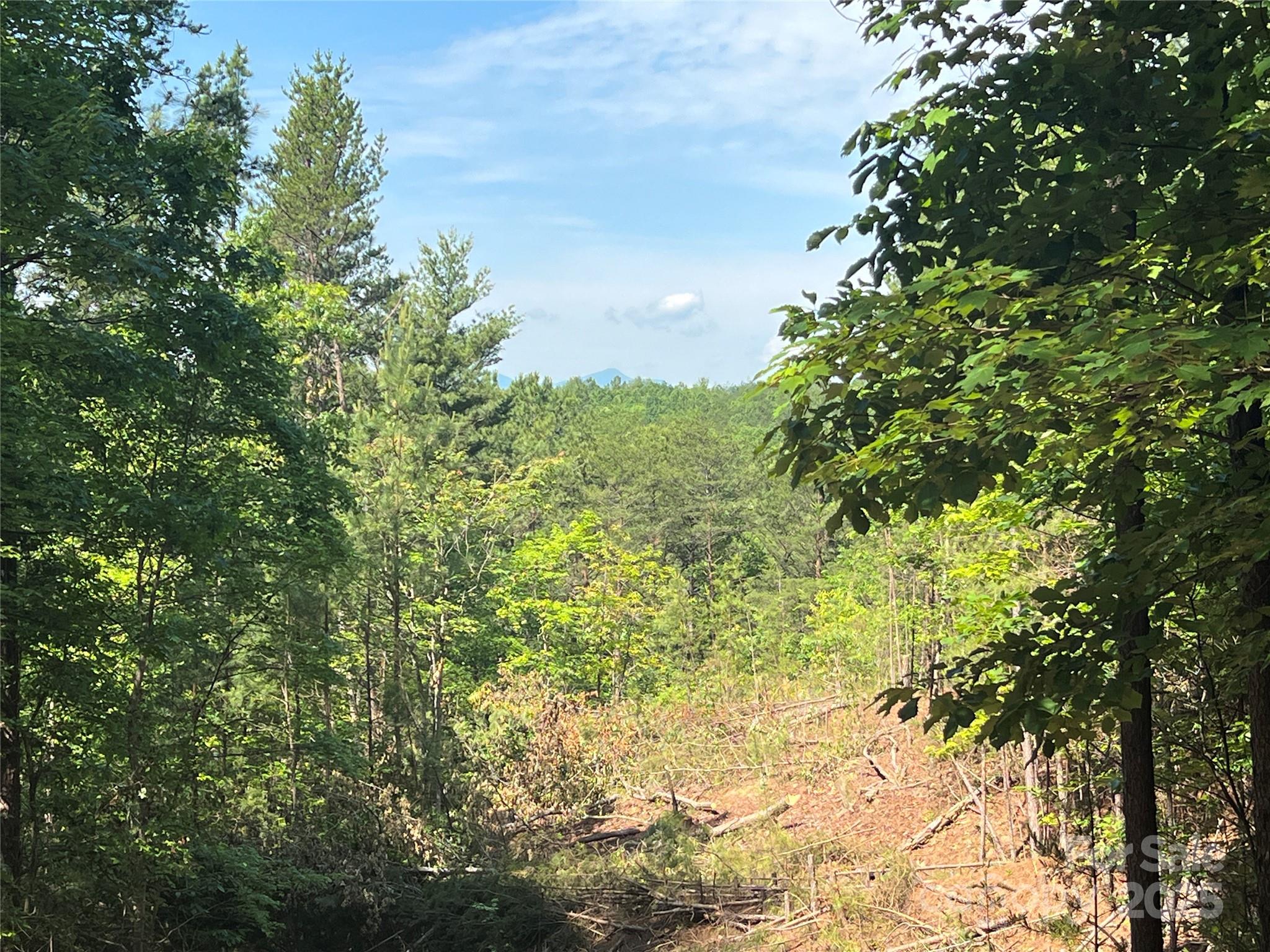 0 South Mountain Drive Nebo NC 28761