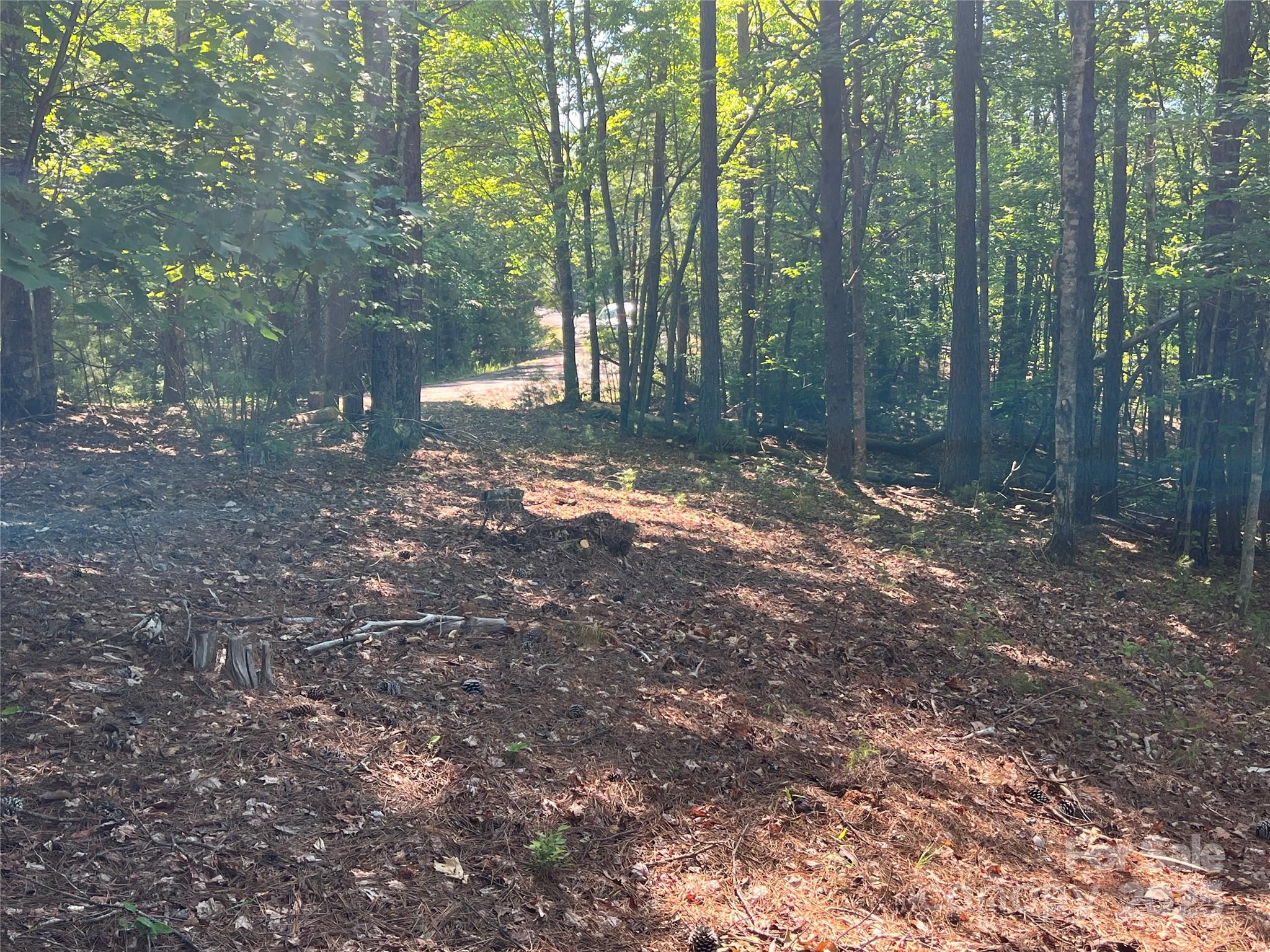 0 South Mountain Drive Nebo NC 28761