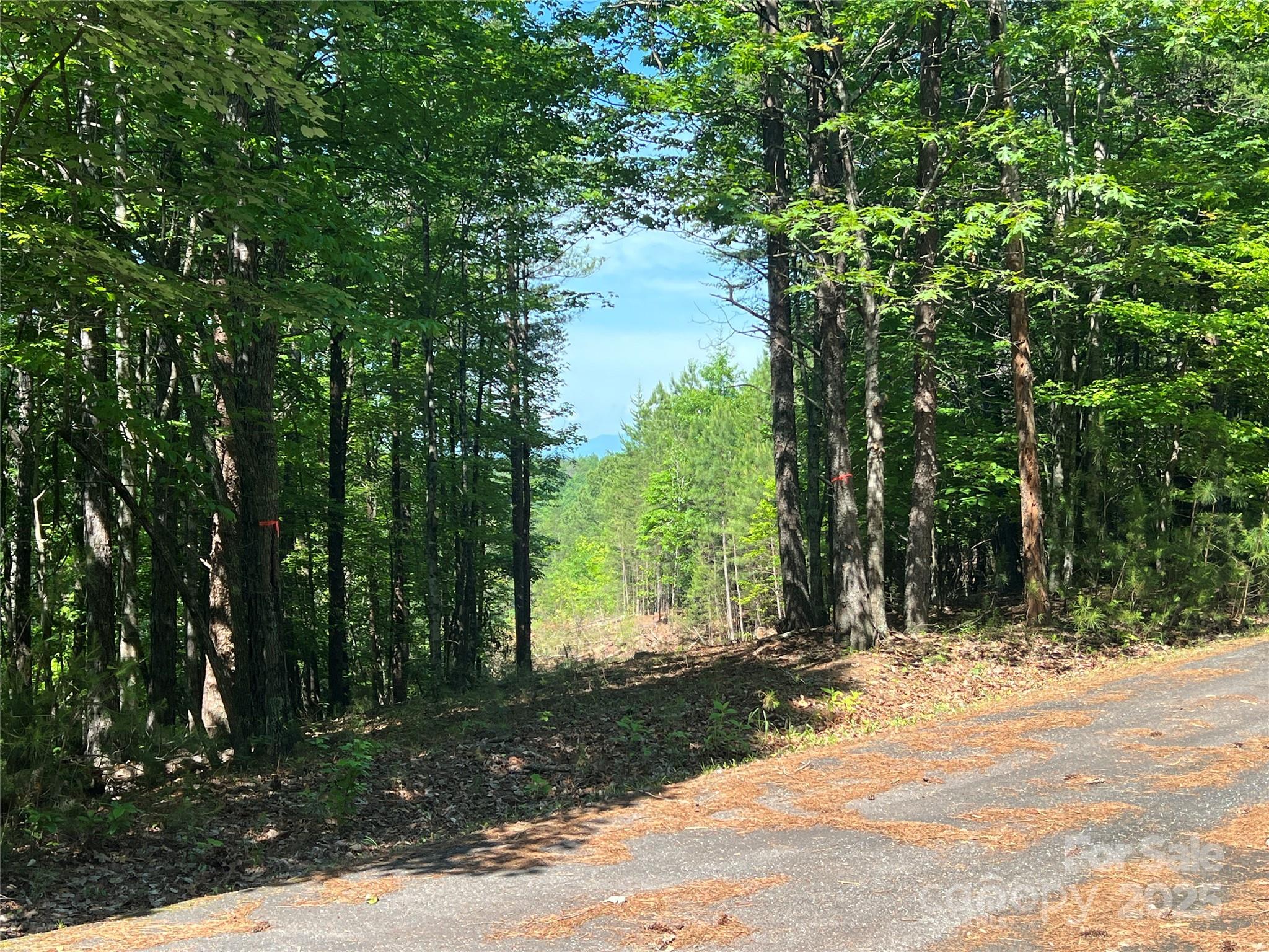 0 South Mountain Drive Nebo NC 28761