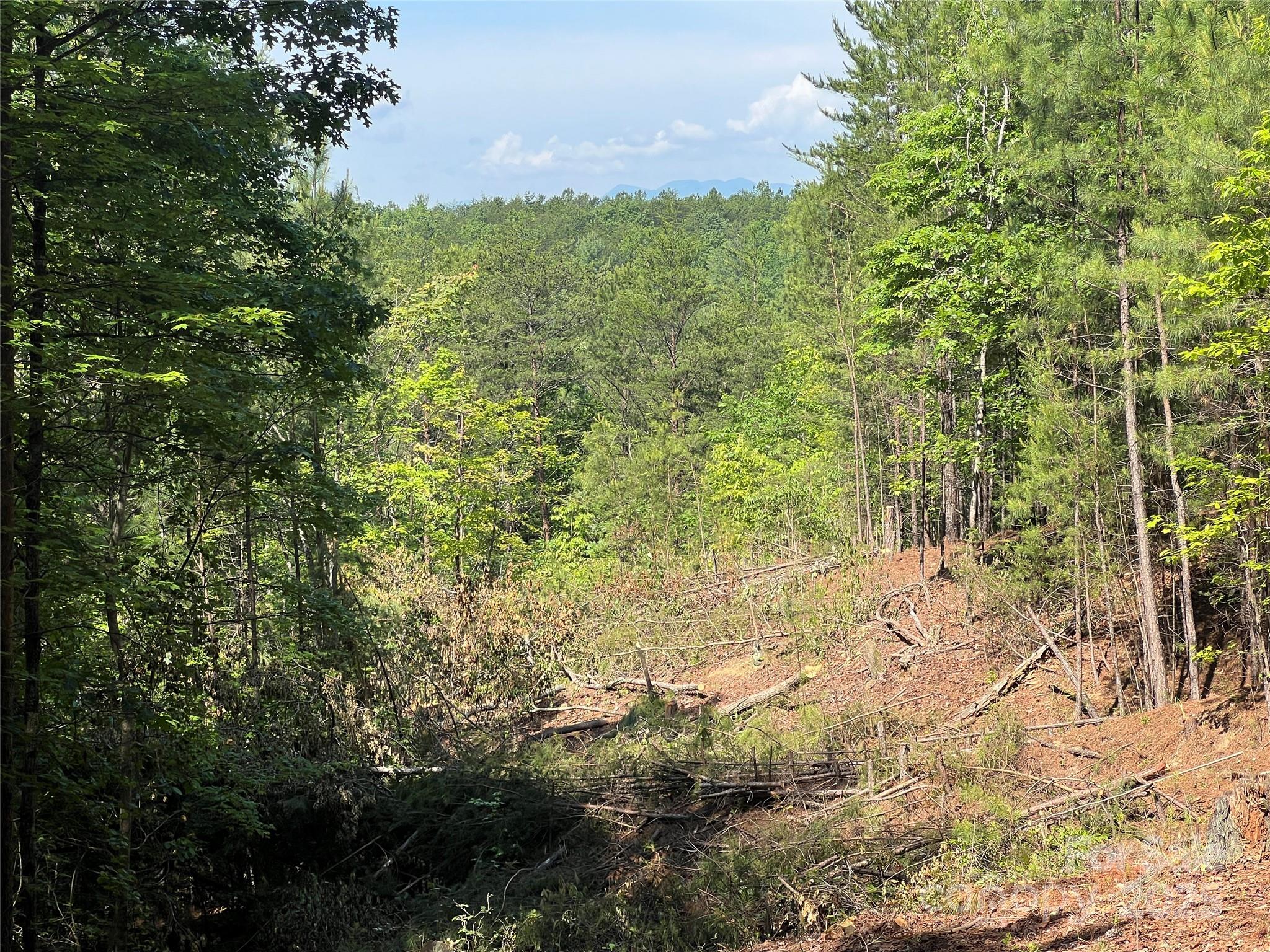0 South Mountain Drive Nebo NC 28761