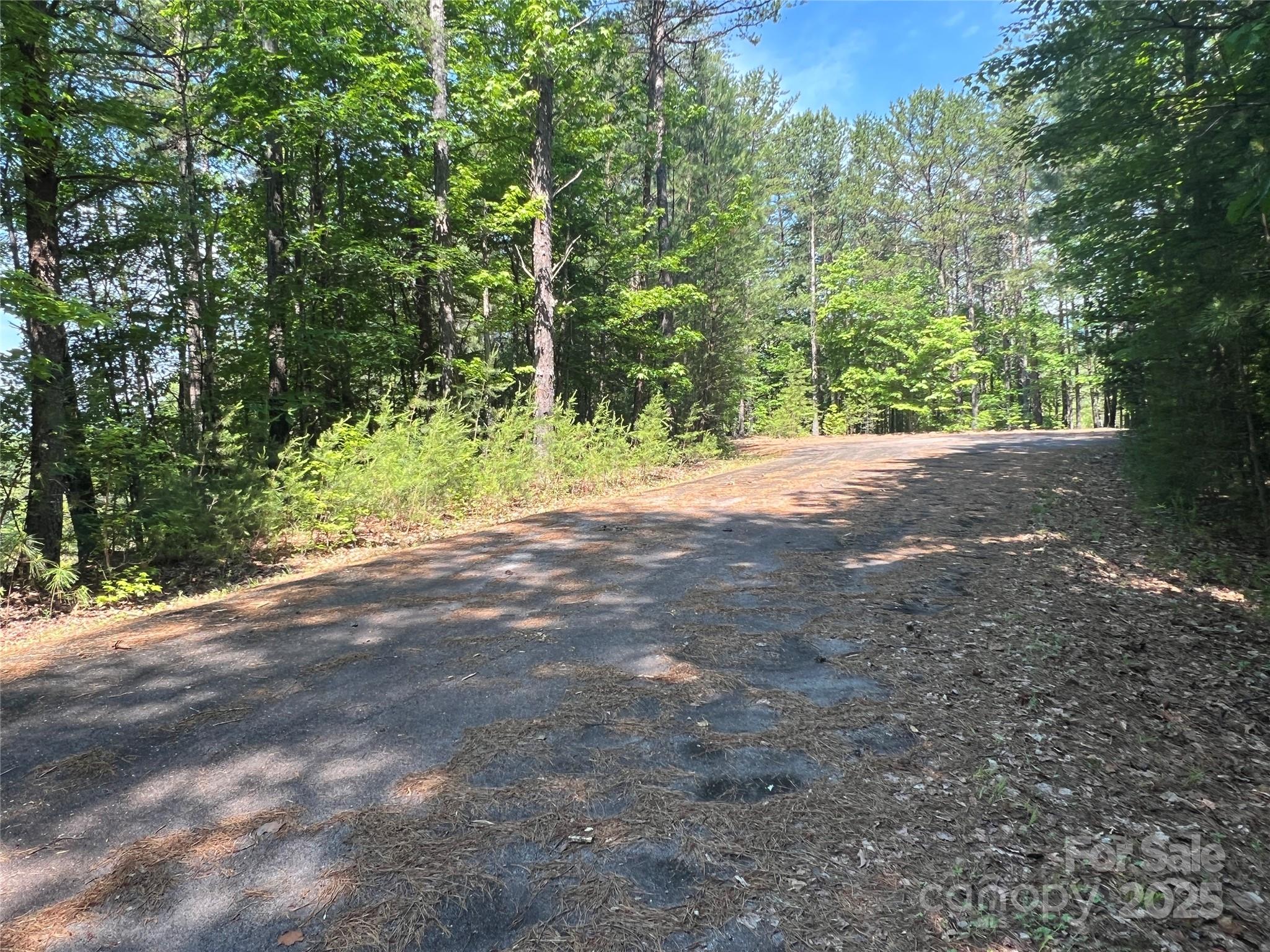 0 South Mountain Drive Nebo NC 28761