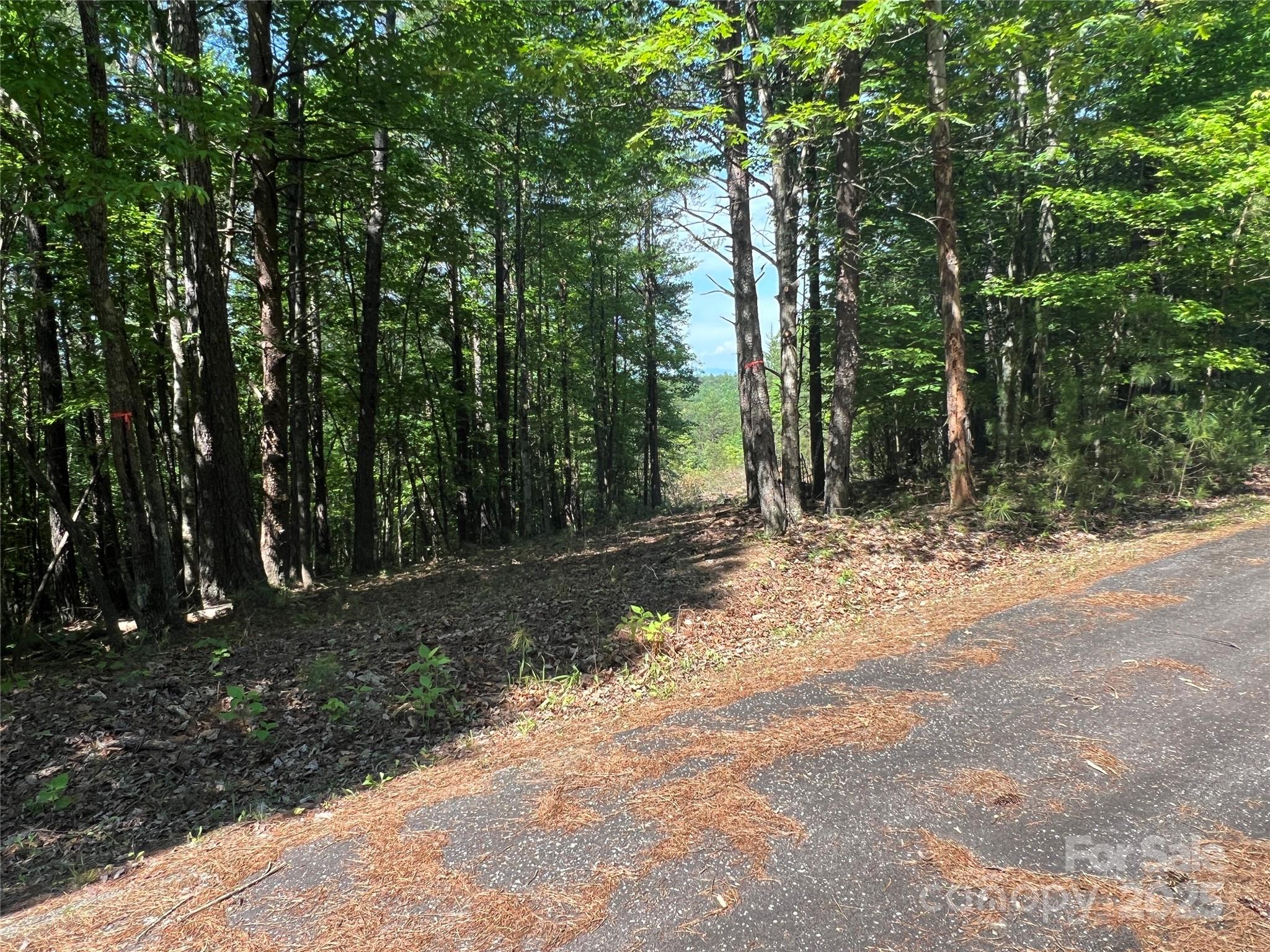 0 South Mountain Drive Nebo NC 28761
