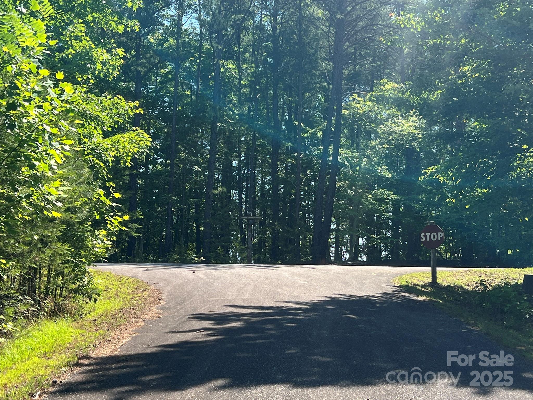 0 South Mountain Drive Nebo NC 28761