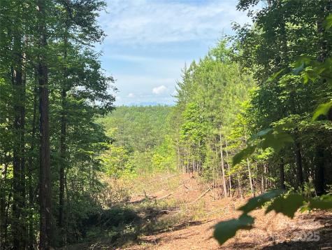 0 South Mountain Drive Nebo NC 28761