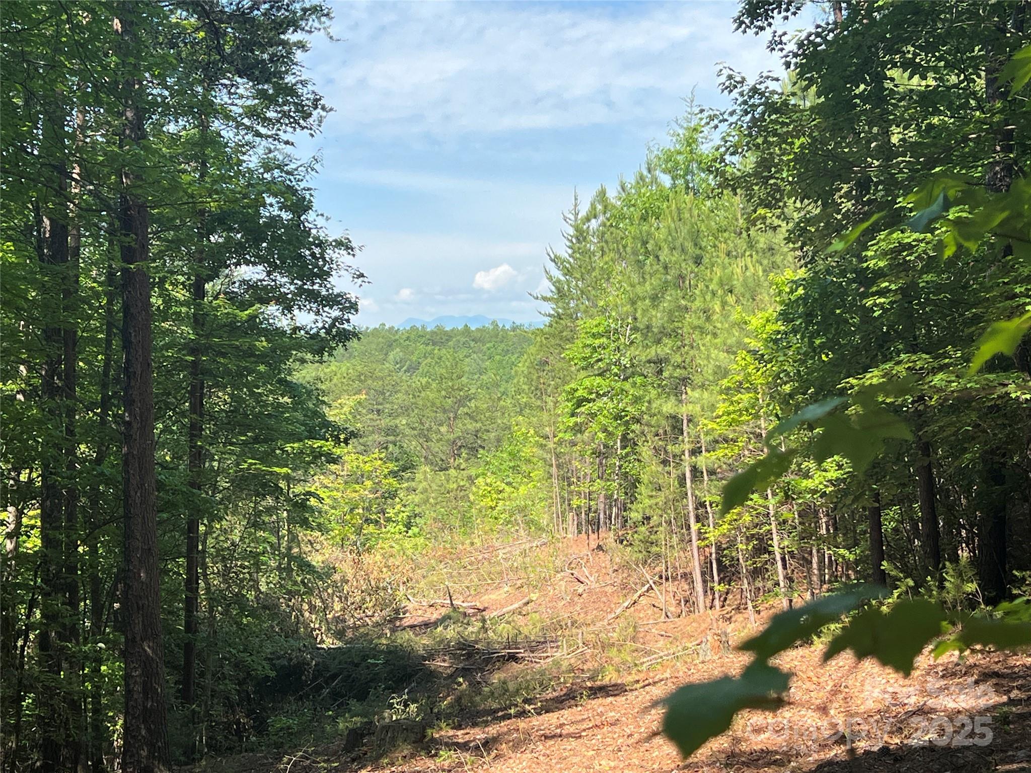 0 South Mountain Drive Nebo NC 28761