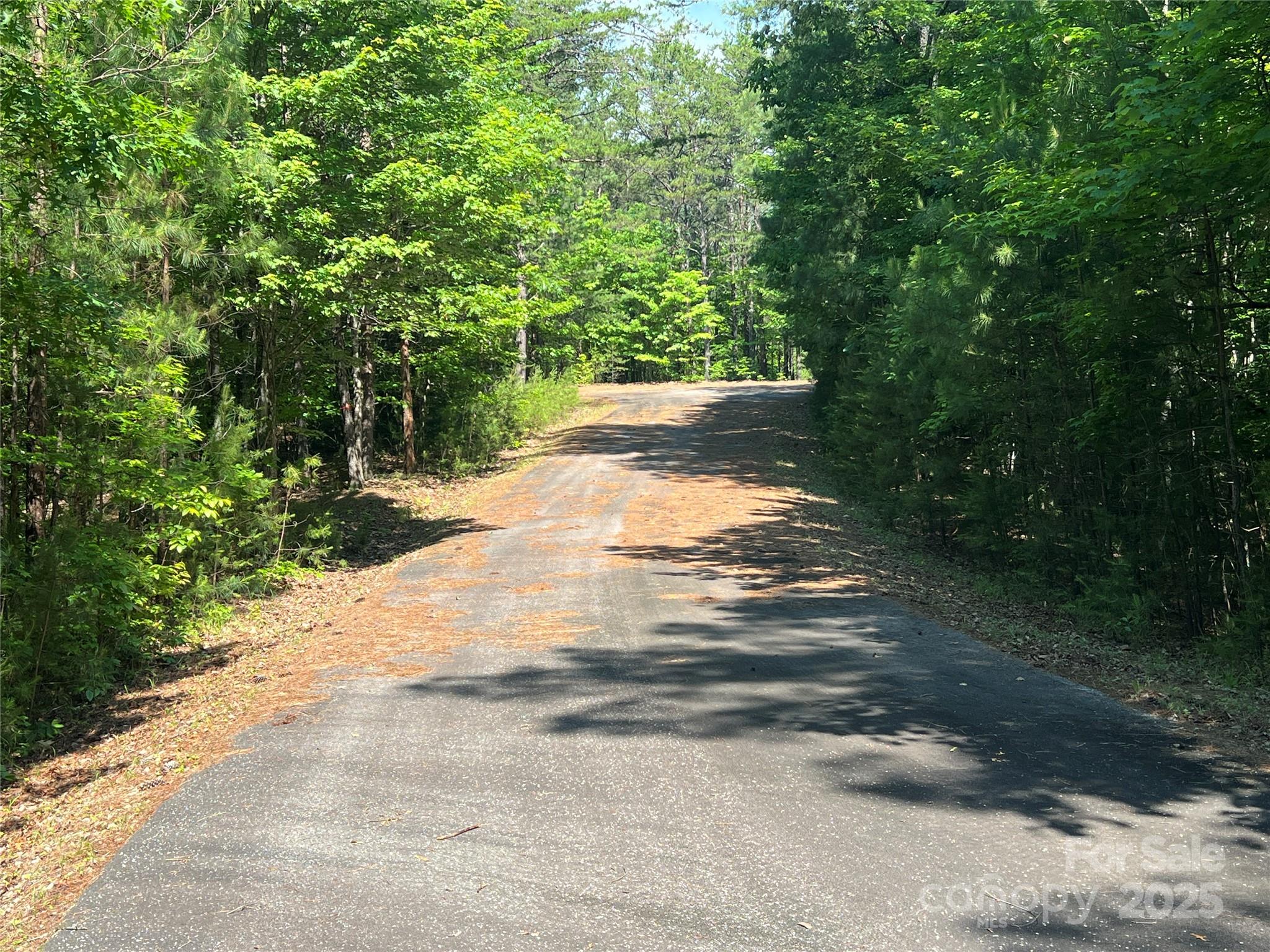 0 South Mountain Drive Nebo NC 28761