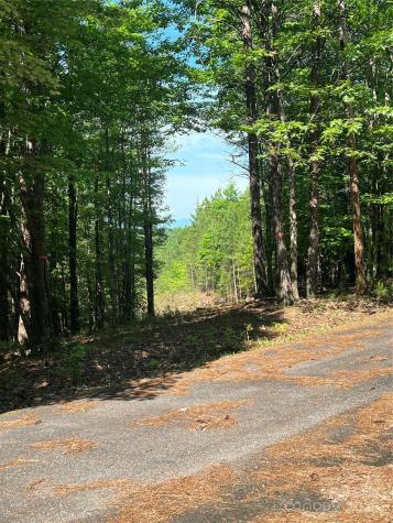 0 South Mountain Drive Nebo NC 28761