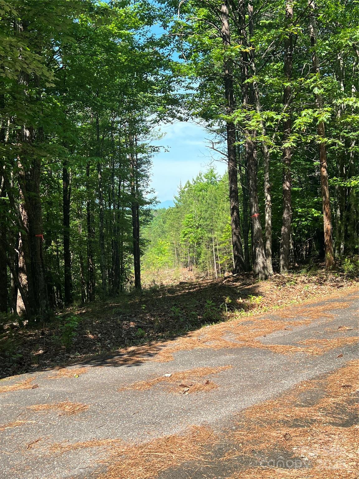 0 South Mountain Drive Nebo NC 28761