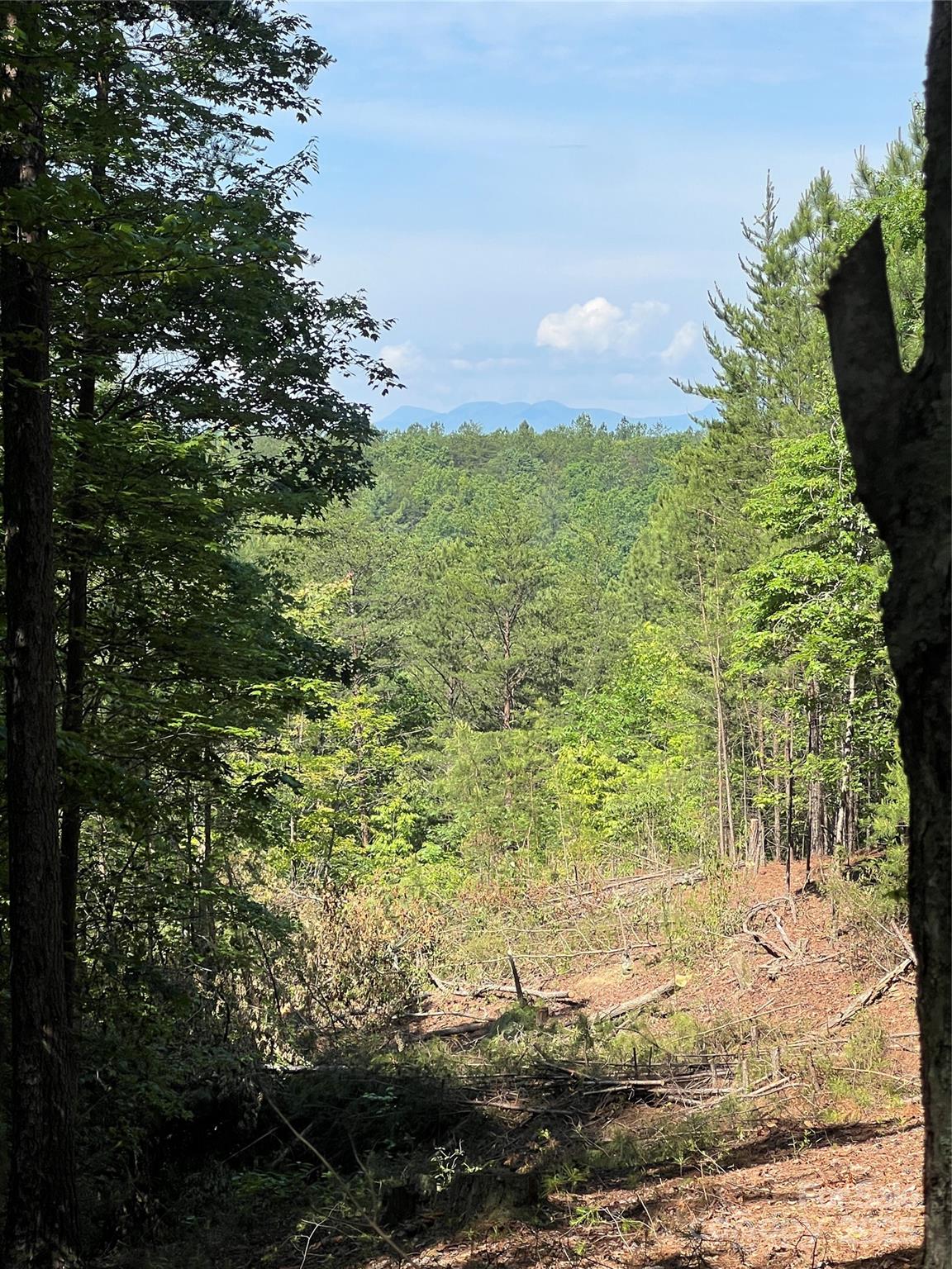 0 South Mountain Drive Nebo NC 28761