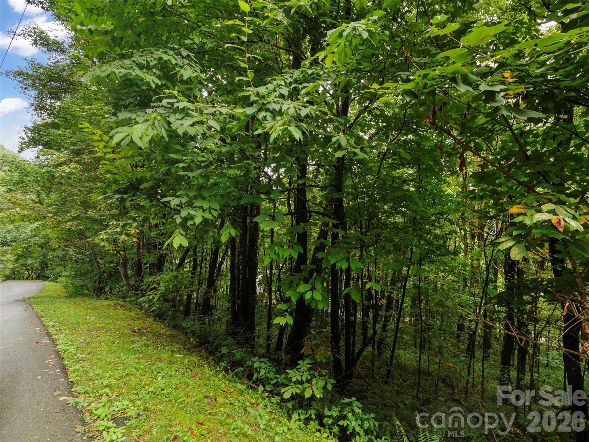 Lot 28 Jefferson Lane Waynesville NC 28786