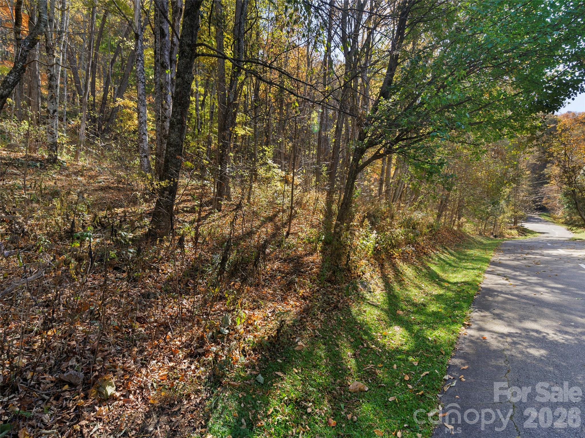 Lot 28 Jefferson Lane Waynesville NC 28786