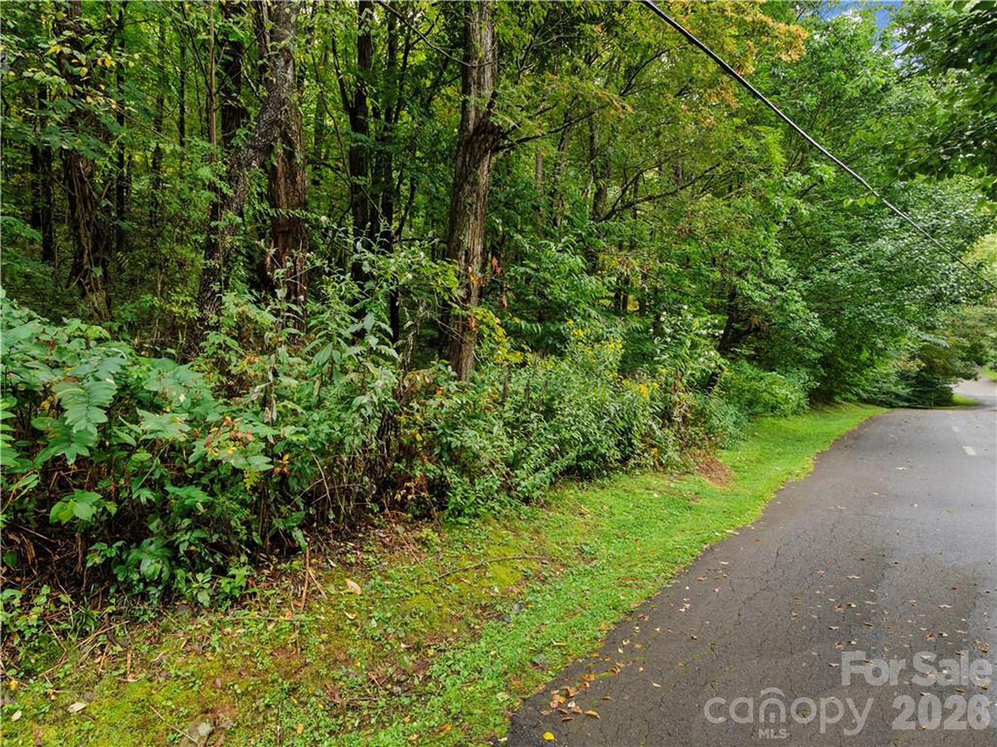 Lot 28 Jefferson Lane Waynesville NC 28786