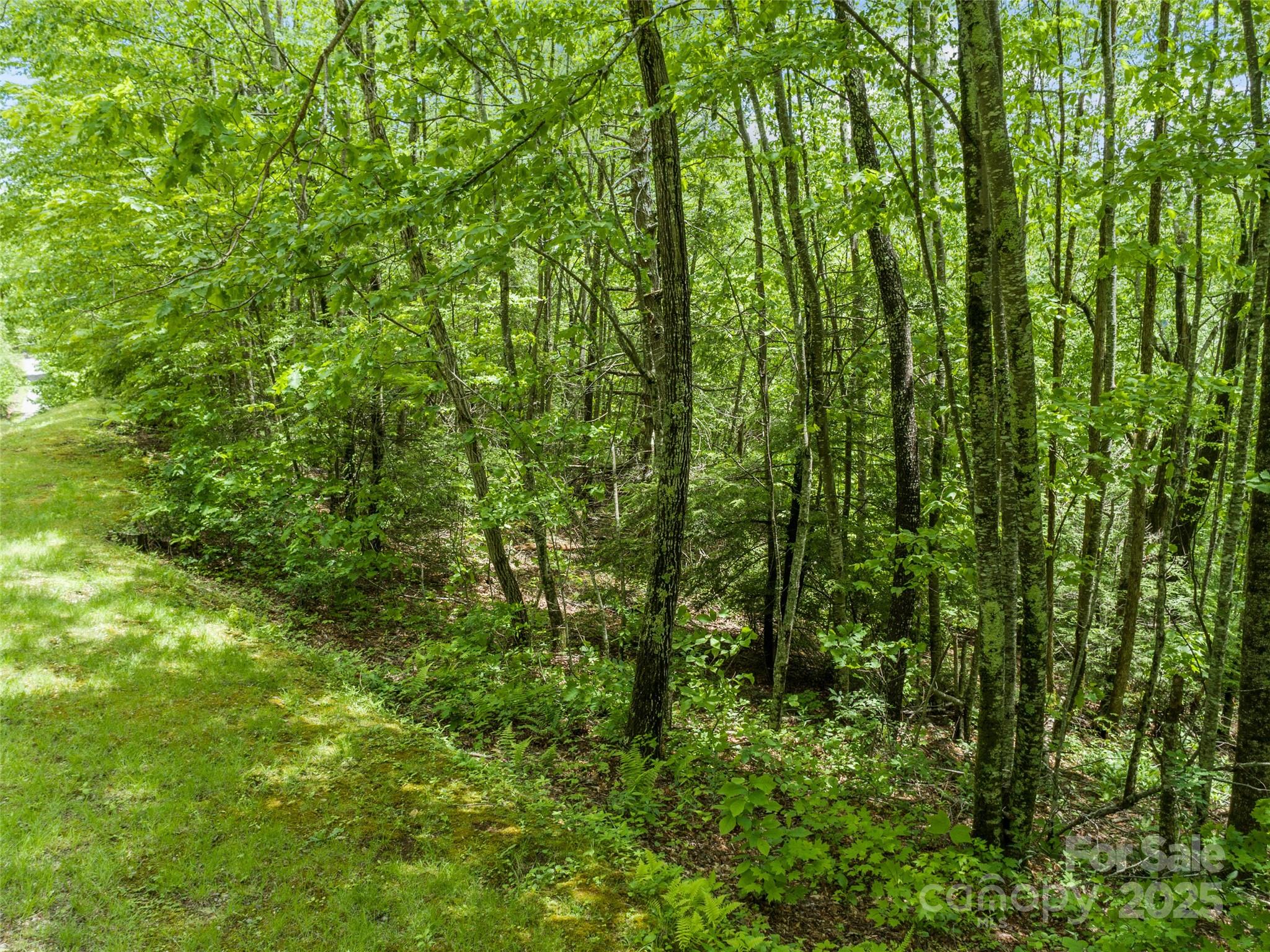 000 N Ridge Runner Road Burnsville NC 28714