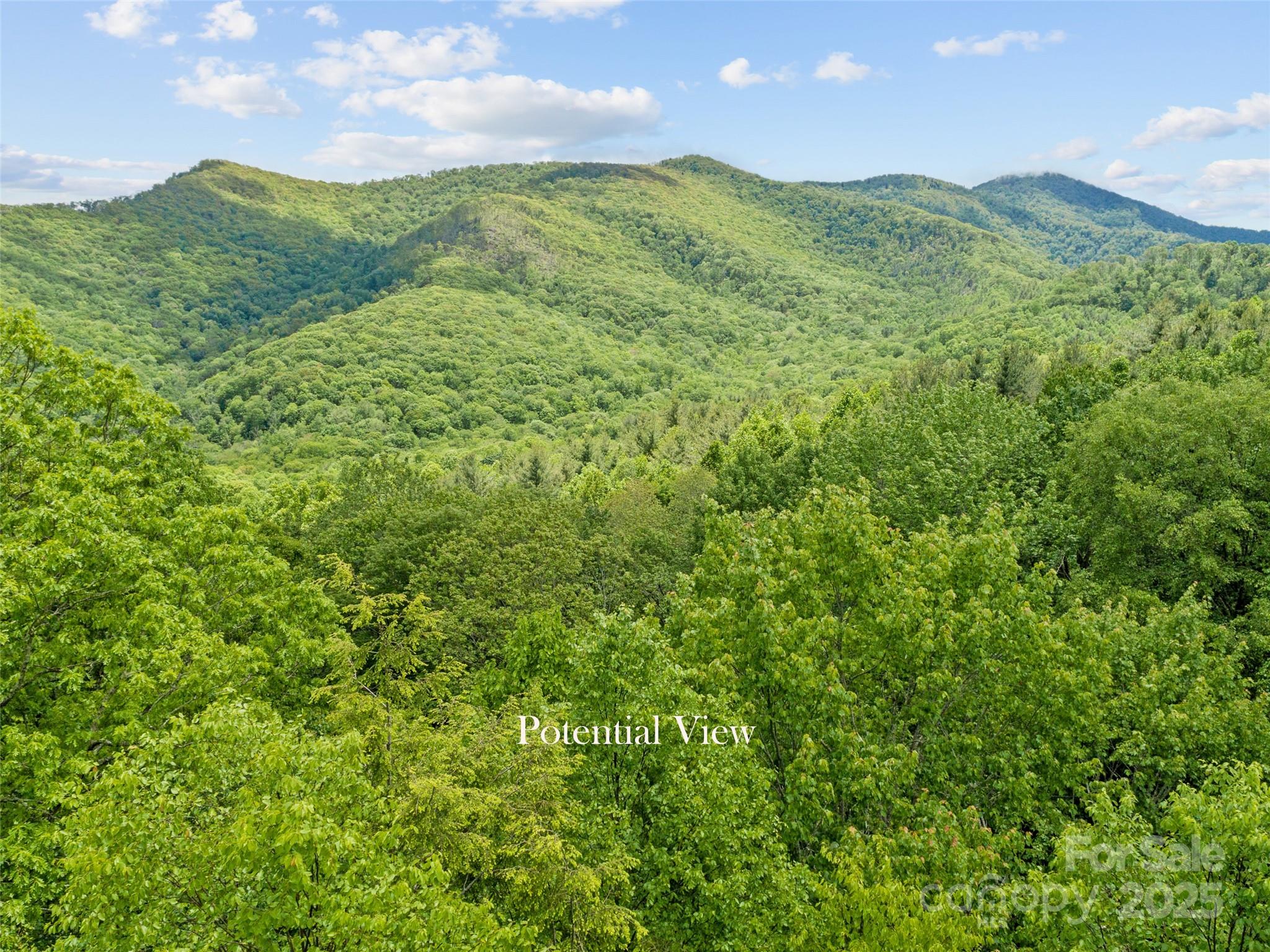 000 N Ridge Runner Road Burnsville NC 28714