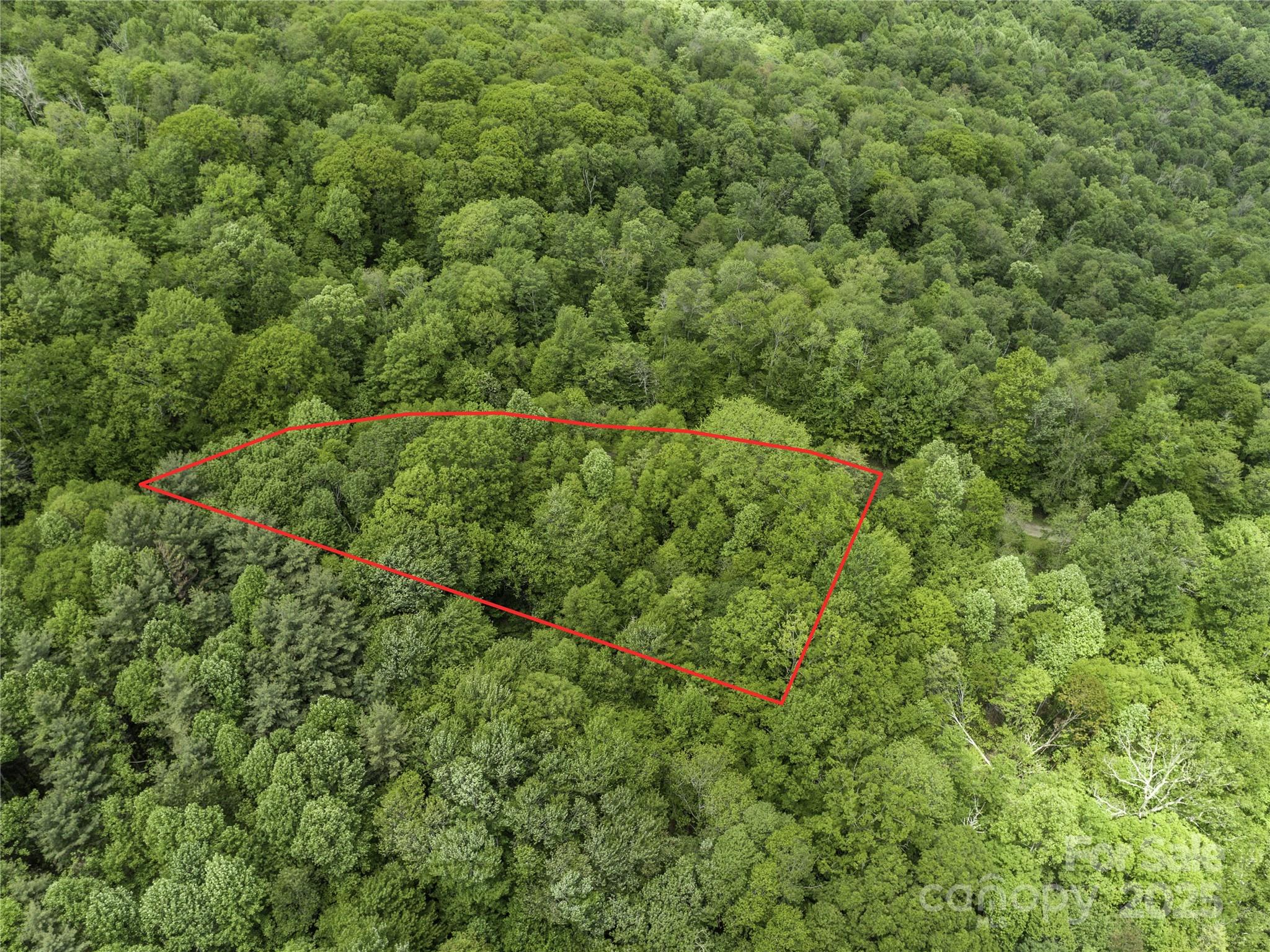 000 N Ridge Runner Road Burnsville NC 28714