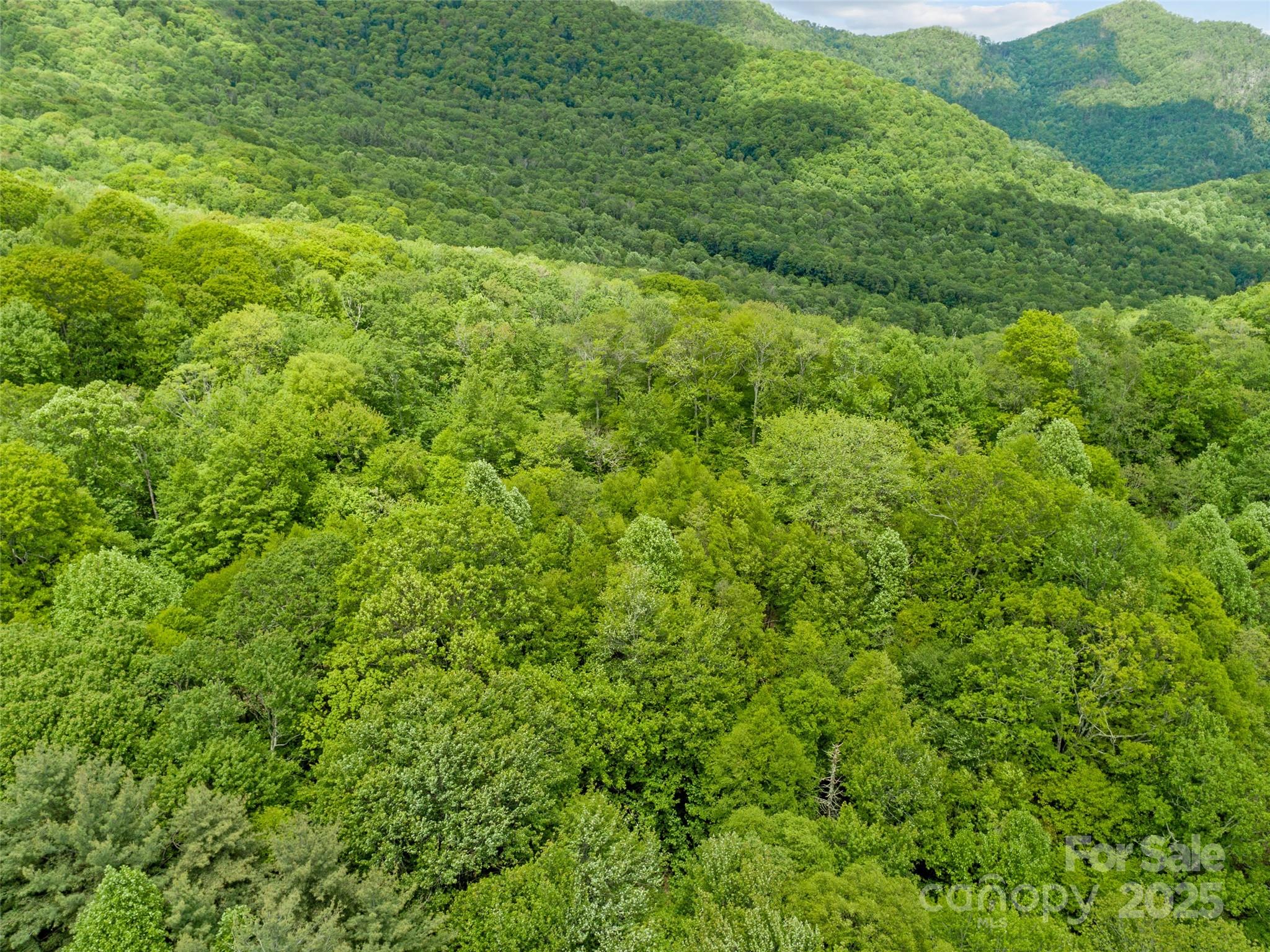 000 N Ridge Runner Road Burnsville NC 28714