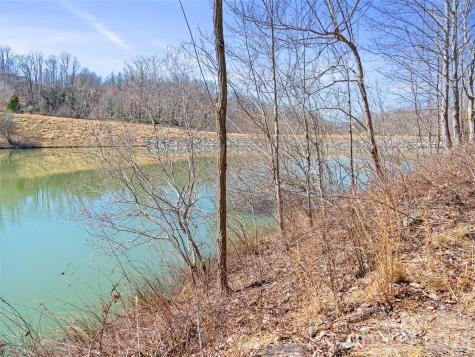 82 Narrows Run Loop Hendersonville NC 28791