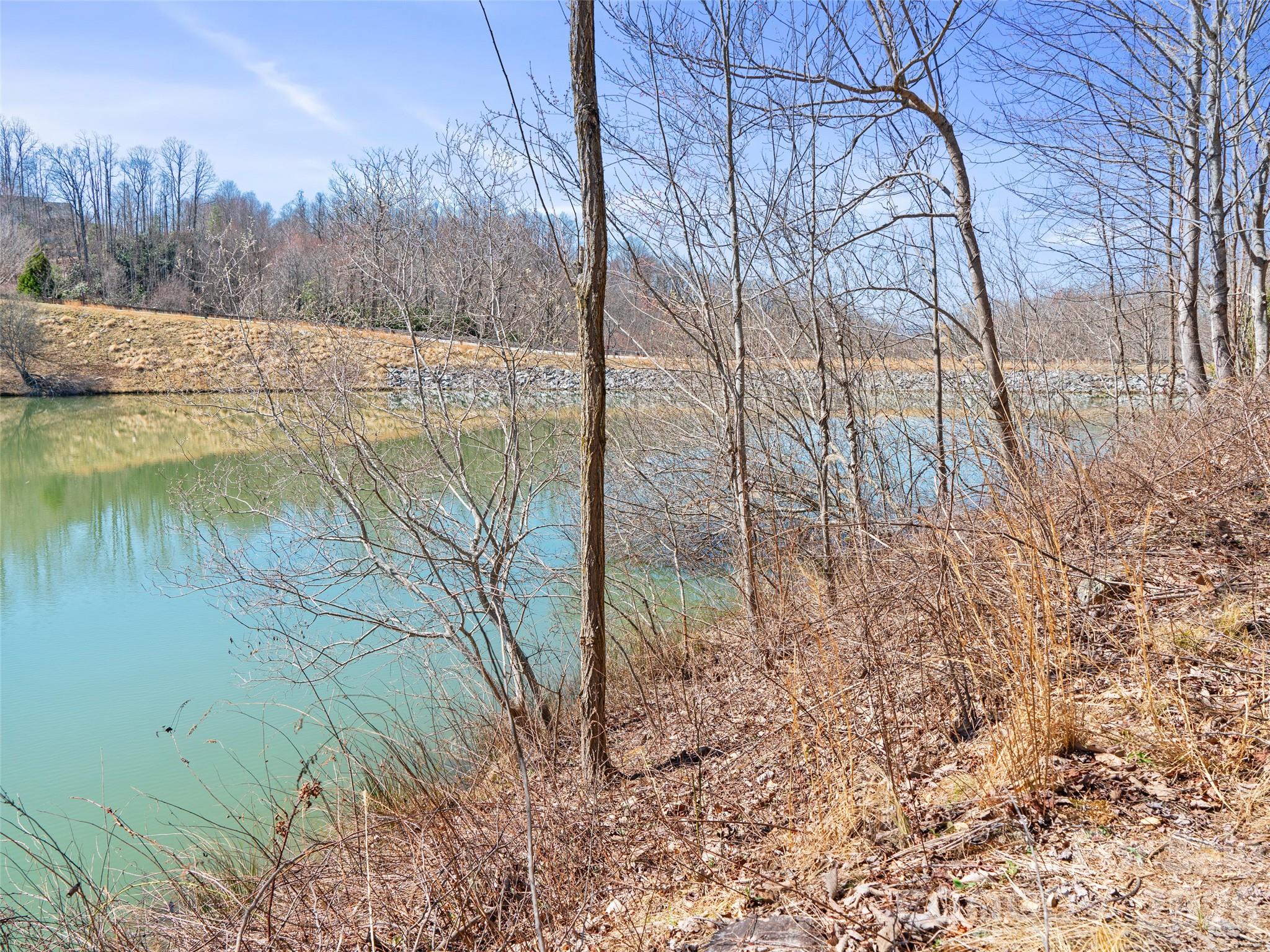 82 Narrows Run Loop Hendersonville NC 28791