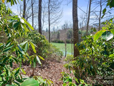 82 Narrows Run Loop Hendersonville NC 28791