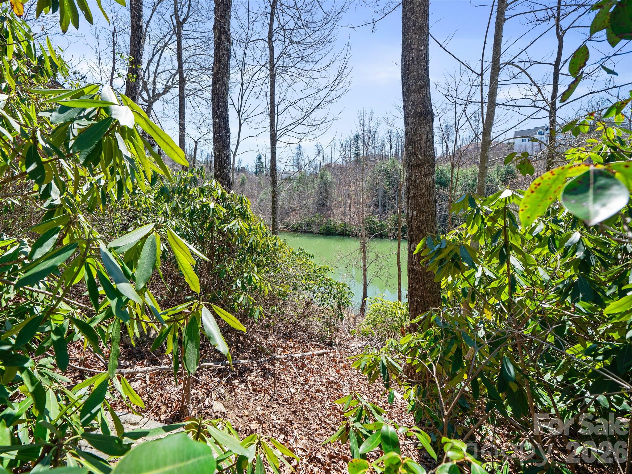 82 Narrows Run Loop Hendersonville NC 28791