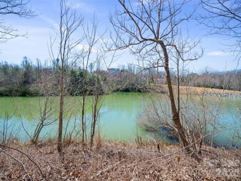 82 Narrows Run Loop Hendersonville NC 28791
