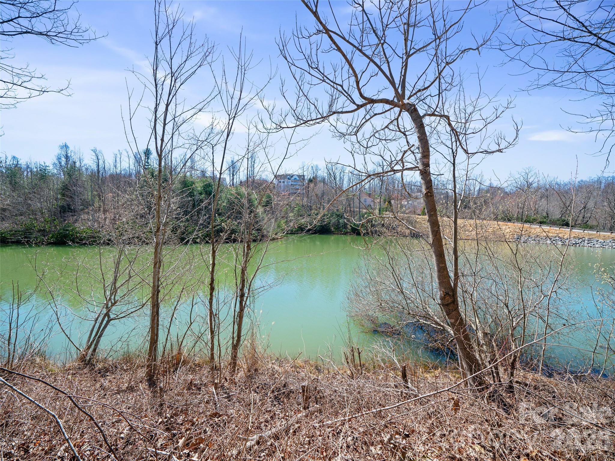 82 Narrows Run Loop Hendersonville NC 28791