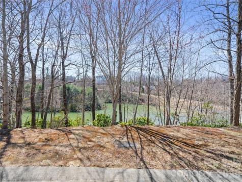 82 Narrows Run Loop Hendersonville NC 28791