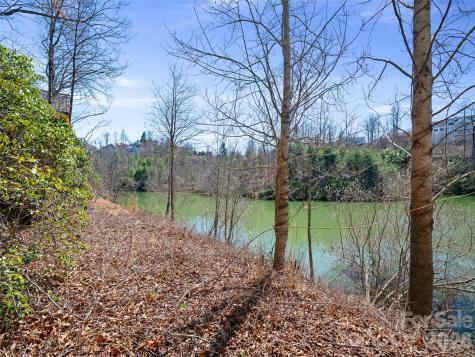 82 Narrows Run Loop Hendersonville NC 28791